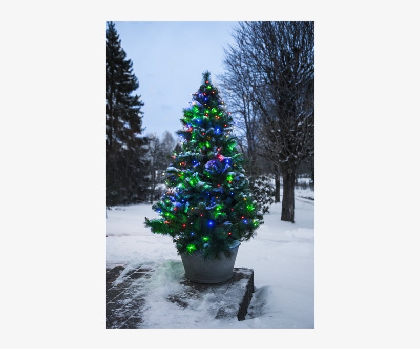 Christmas Tree Light Serie Led - Light-emitting Diode, transparent png download