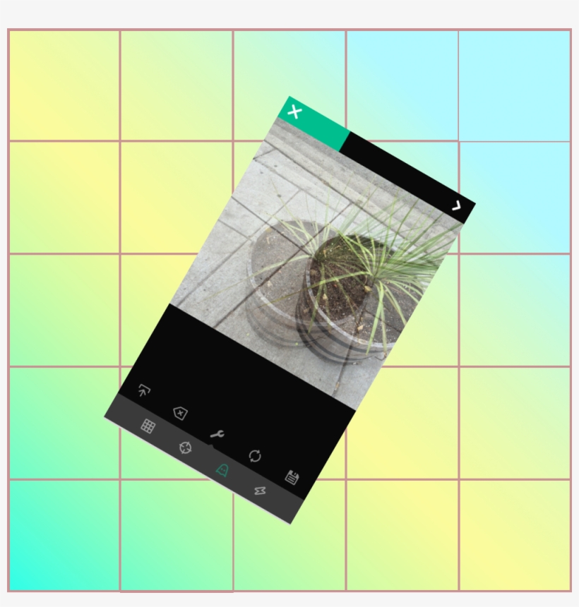 Vine, And The Second Death Of The Author - Tile, transparent png download