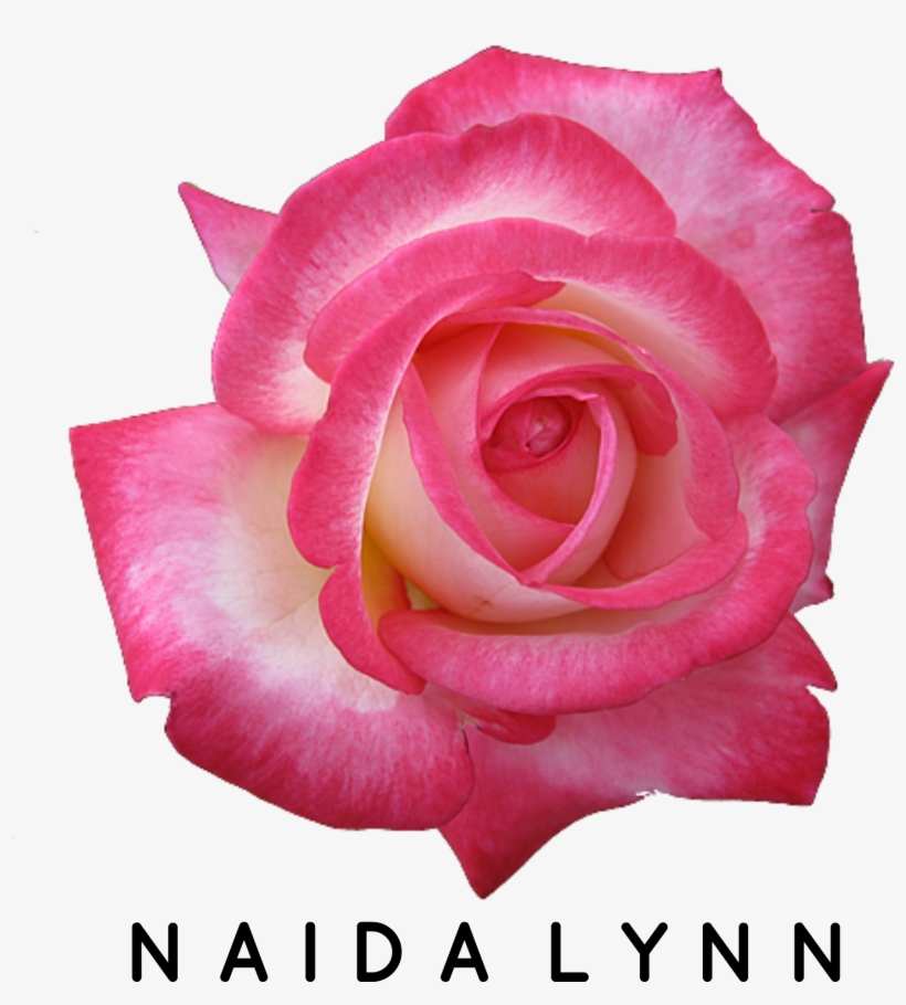 Naida Lynn Logo - Diy Essential Oil Perfume Spray, transparent png download