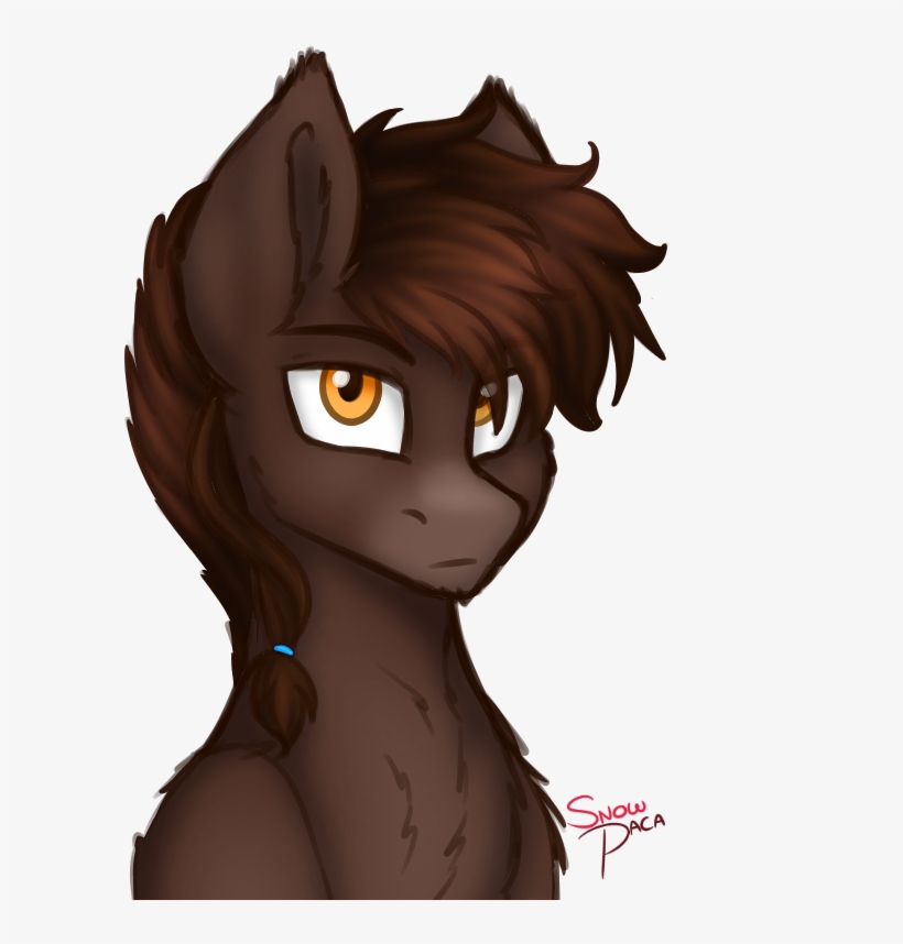 Alternate Hairstyle, Artist - Horse, transparent png download