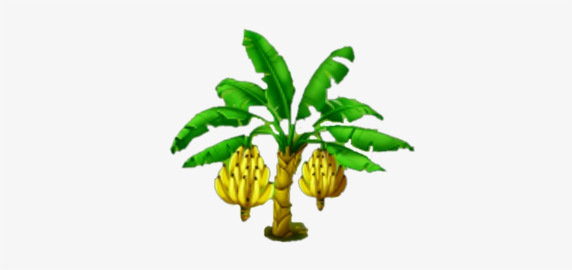 Banana Tree Images Png, transparent png download
