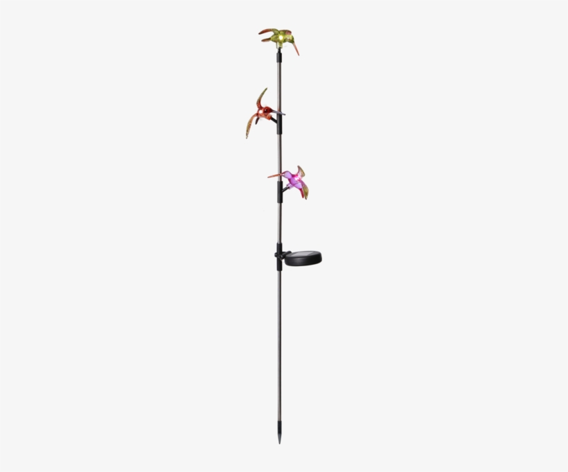 Solar Garden Stick Kolibri - Solarna Lampa Led - Wys. 90 Cm, transparent png download