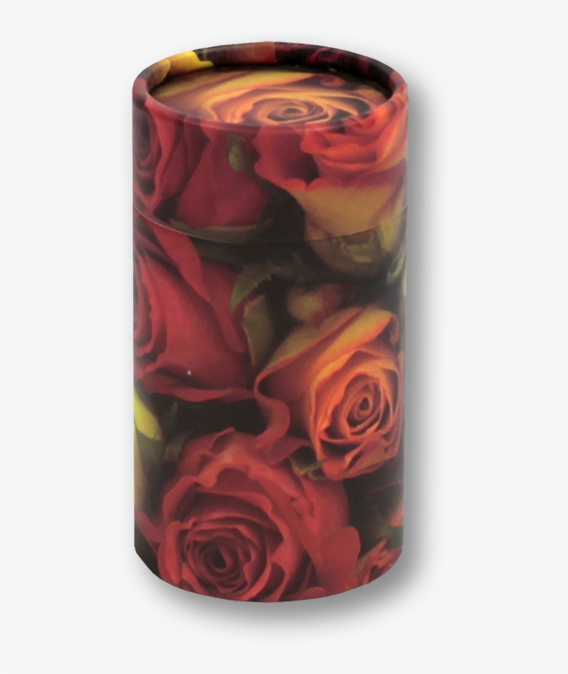 Rose, transparent png download