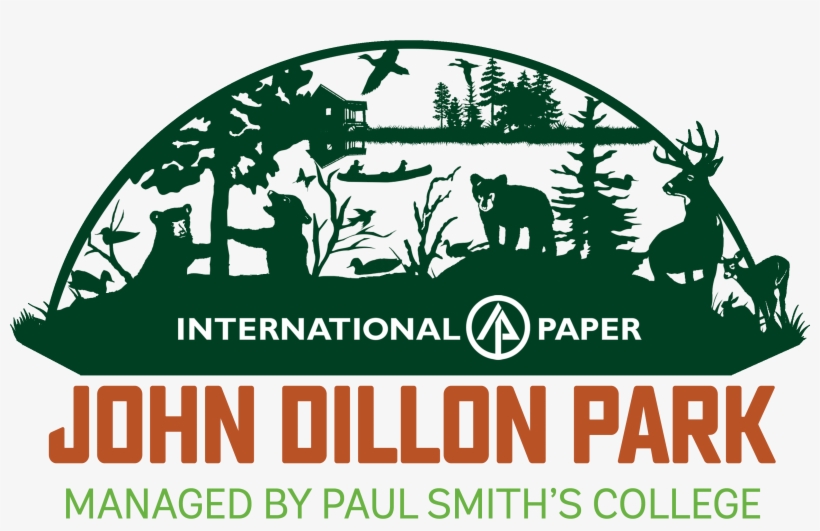 Full Color Png - Graphic Design, transparent png download