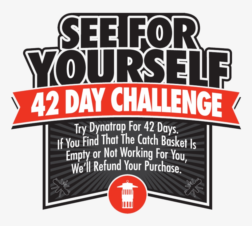 See For Yourself - Poster, transparent png download