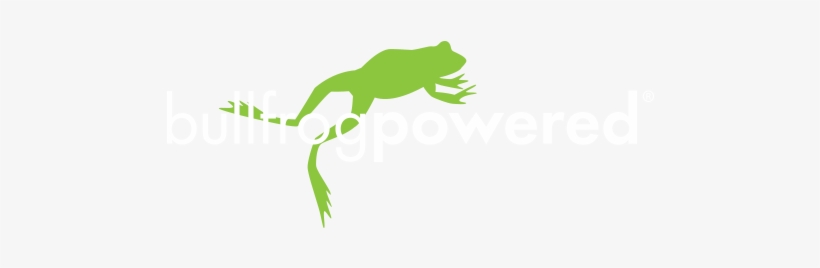 Bullfrog, transparent png download