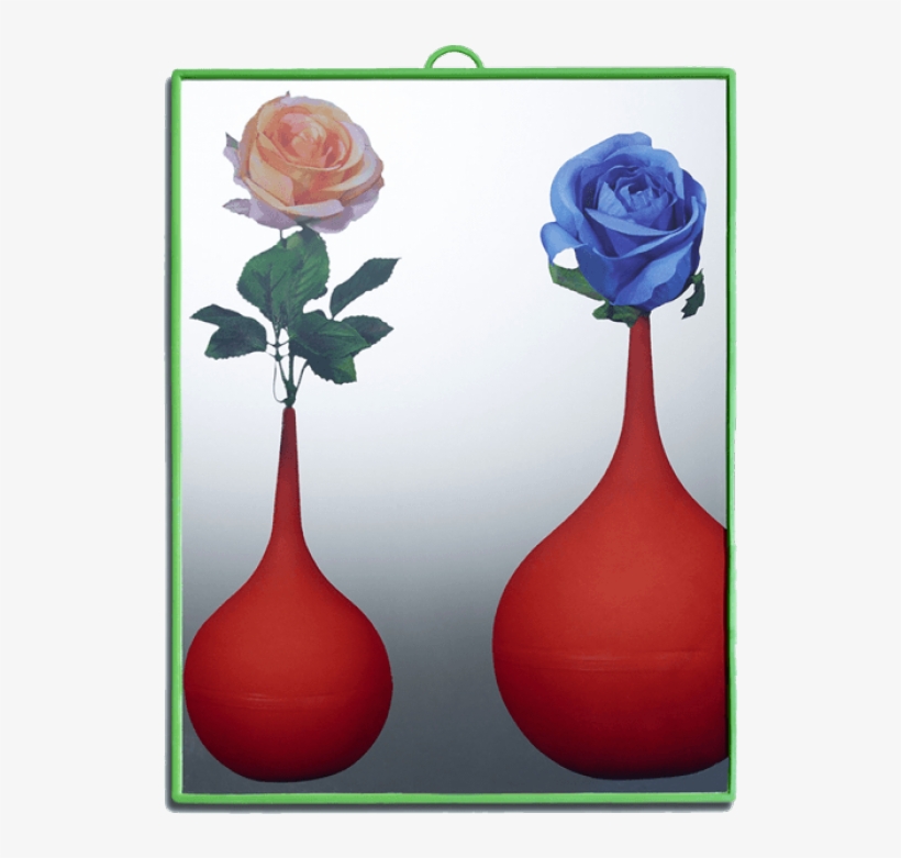 Seletti Toiletpaper Mirror - / Flowers - Small. Green, transparent png download
