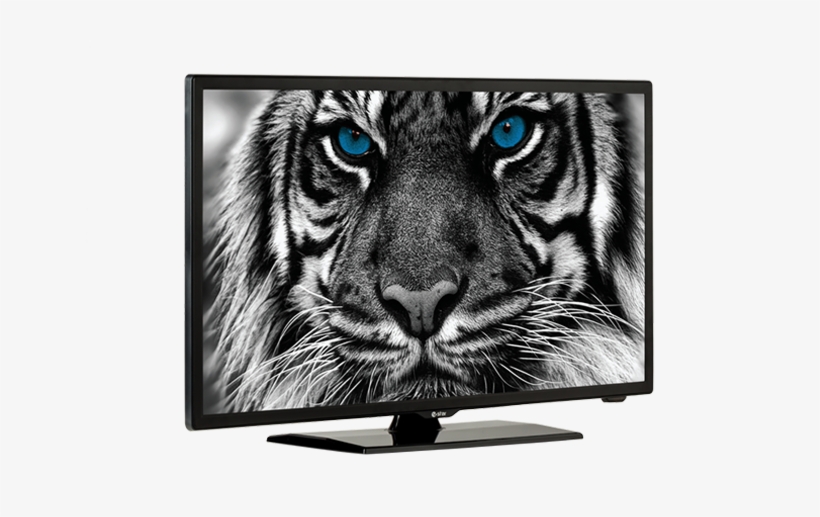 Ledtv 24d2t2 Ledtv Angle - Estar Ledtv22d1t1, transparent png download