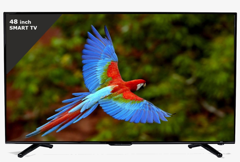 Esaplling 55inch Tv, Esaplling 48smart Tv - Birds In The Emergent Layer, transparent png download