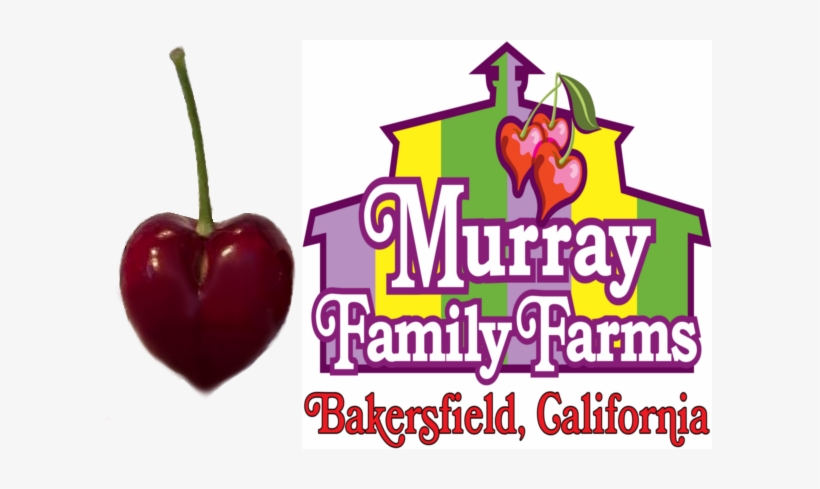 Cherrylogocomparison - Murray Family Farms, transparent png download