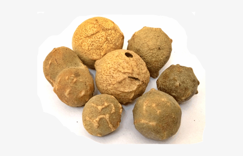 Manjakani Manjakani Pure Powder Rainforest Herbs - Manjakani Png, transparent png download