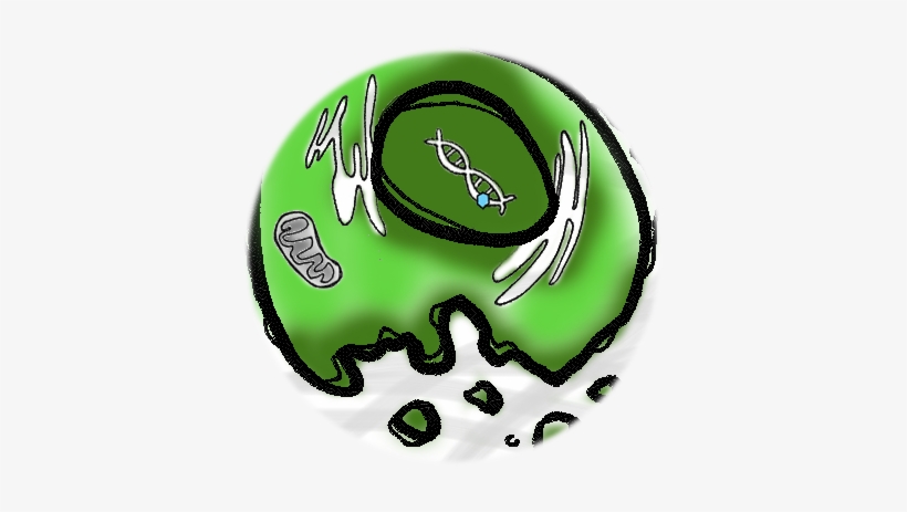 224 X 176 Pixels, transparent png download