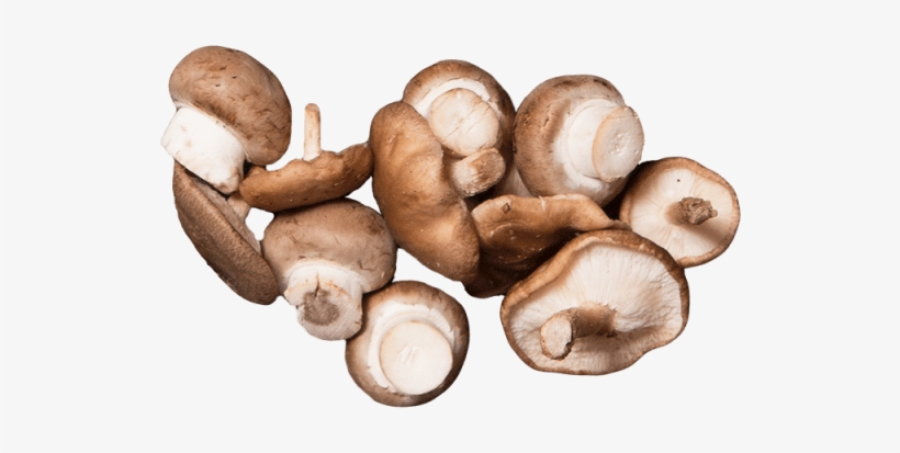 Button Mushrooms - Mushroom, transparent png download