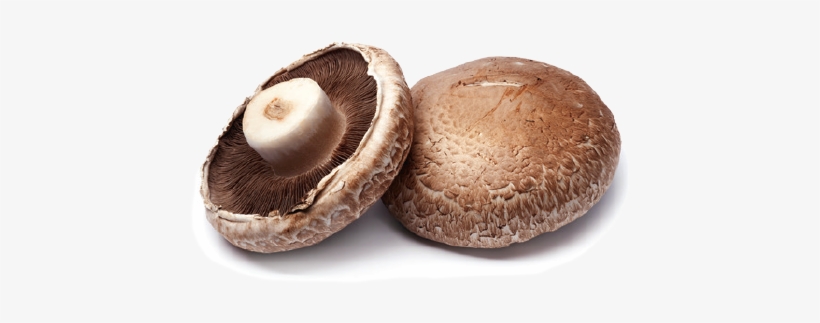 Portabellas - Fresh Produce Portabella Mushroom Caps, 6 Oz, transparent png download