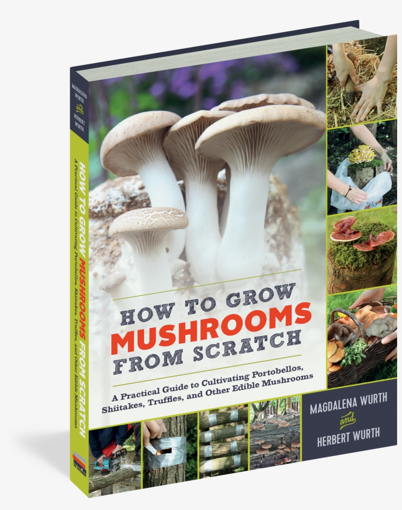 Cover - Home-grown Mushrooms From Scratch By Magdalena Wurth, transparent png download