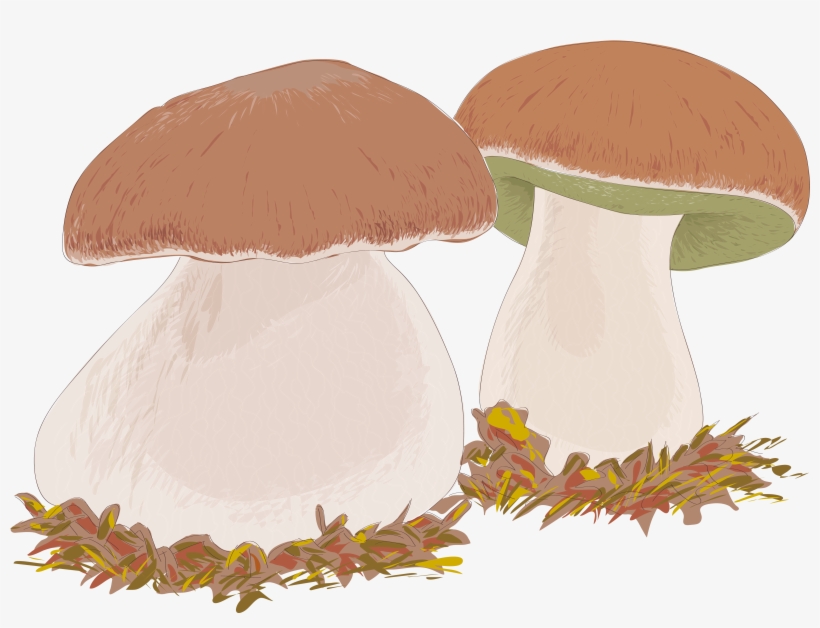 Banner Black And White Download Cavern Drawing Mushroom - Mushroom, transparent png download