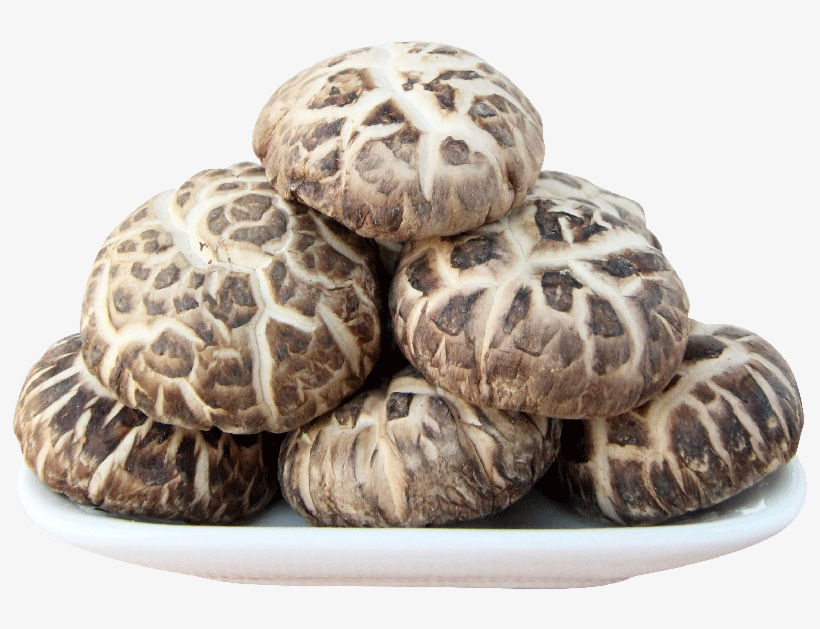 Flower Mushroom, Flower Mushroom Suppliers And Manufacturers - Shiitake, transparent png download