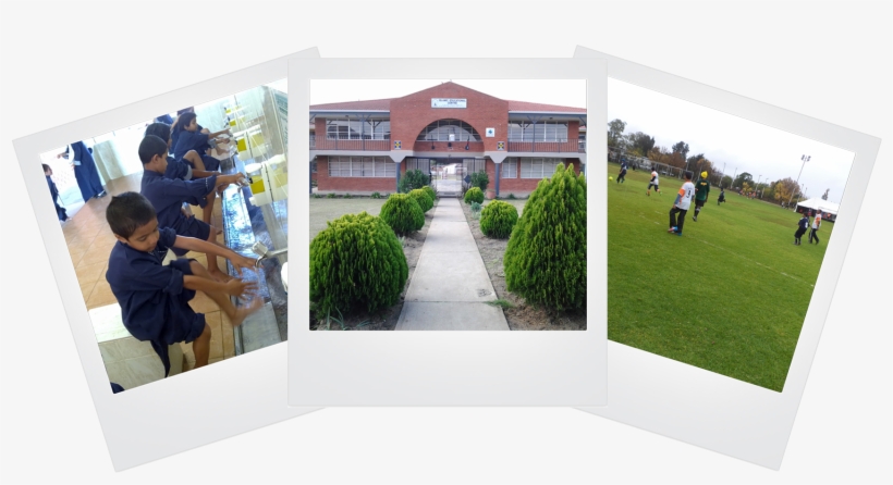 Islamic Educational Centre Ladysmith - Artificial Turf, transparent png download