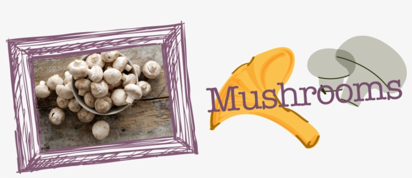 A Mushroom Is The Fleshy, Spore-bearing Fruiting Body - Jackson & Perkins Button Mushroom-growing Kit, transparent png download