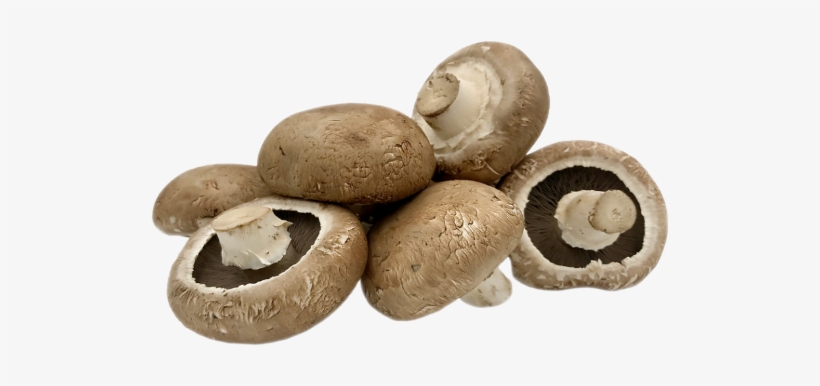 Portabellini Mushrooms - Portobellini Mushrooms, transparent png download