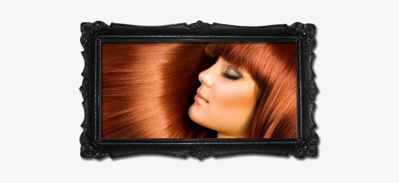 Frame1 - Black Friday Hair Specials, transparent png download