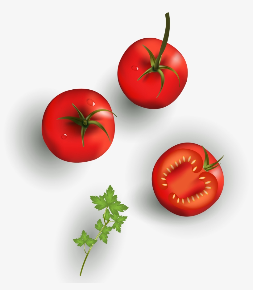 Tomato, transparent png download