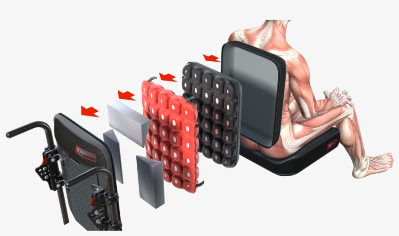 Spex Seating Educational Workshop With Medifab Australia - Magazine, transparent png download