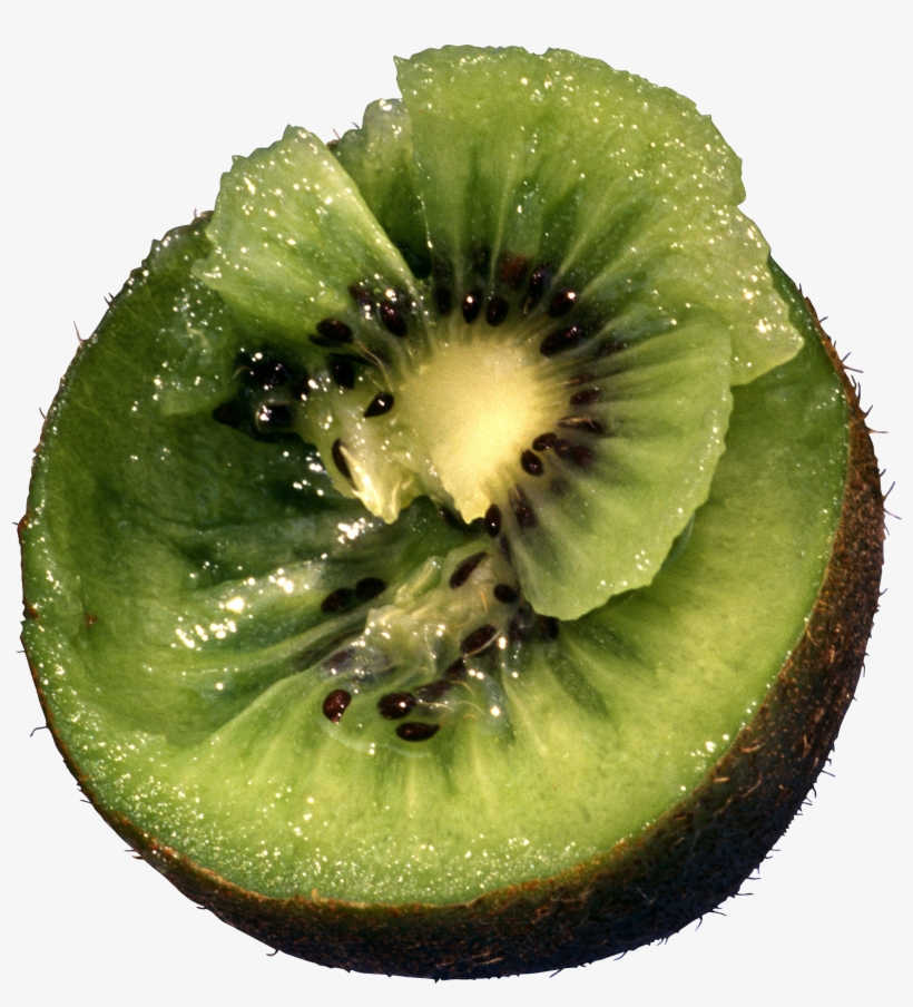 (16+) Способы Омоложения Организма, transparent png download