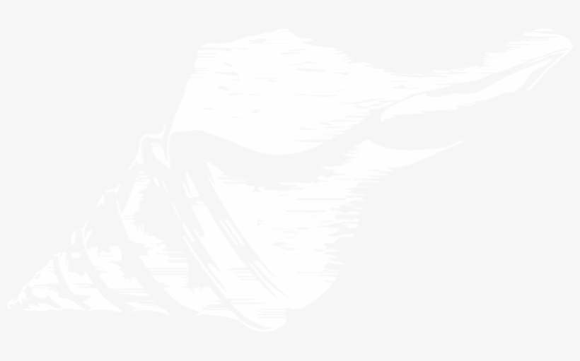 Corporate Icon Jpg File Boo Shell White - Illustration, transparent png download