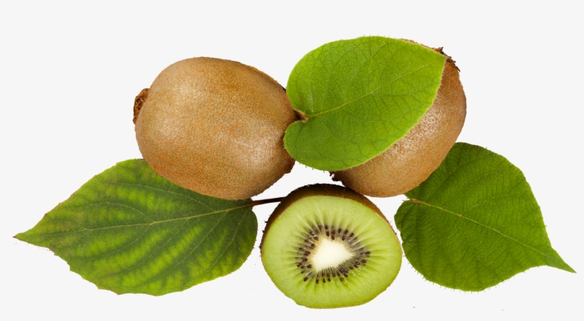 Kiwifruit Extract Contains Around 60% Of Alpha-linolenic - Kiwifruit, transparent png download