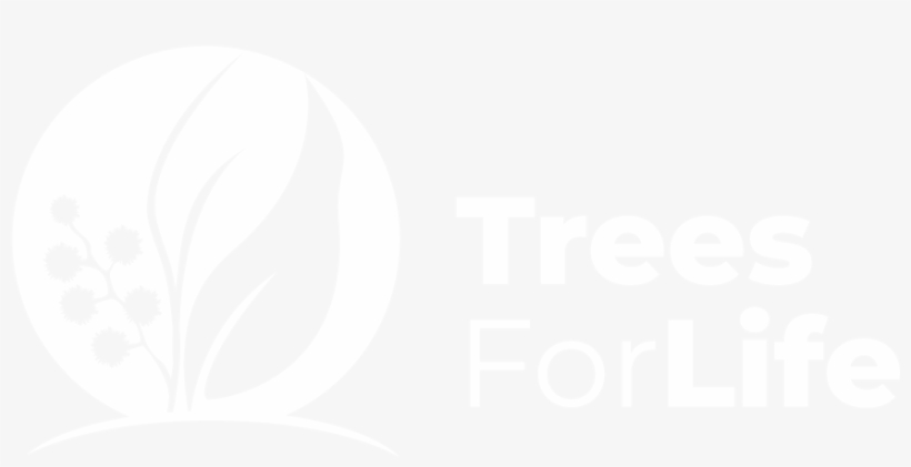 Project, transparent png download