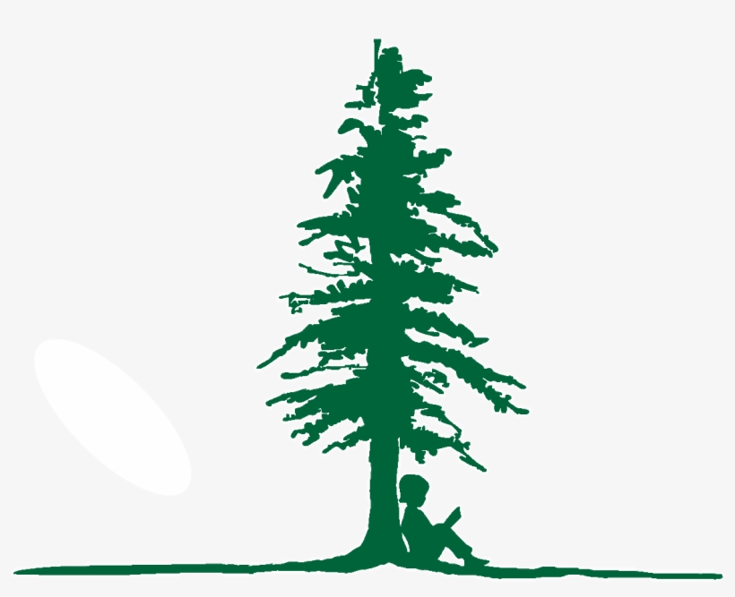 Just Tree Logo Burned Ground Edited To Be Shorter - Larchmont Charter School-west Hollywood, transparent png download