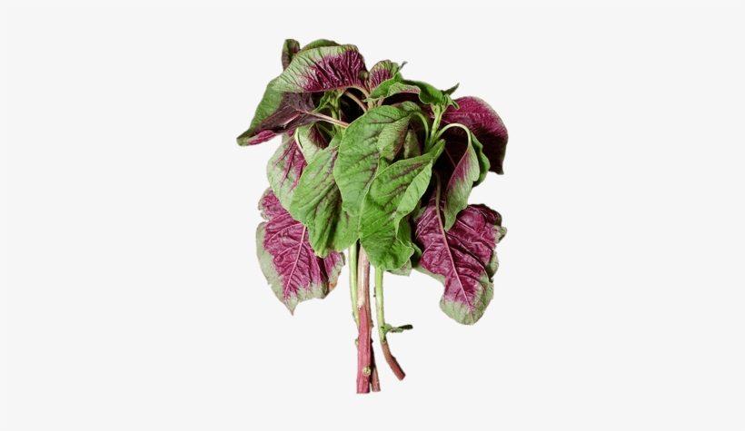En Choy - Purple Spinach, transparent png download