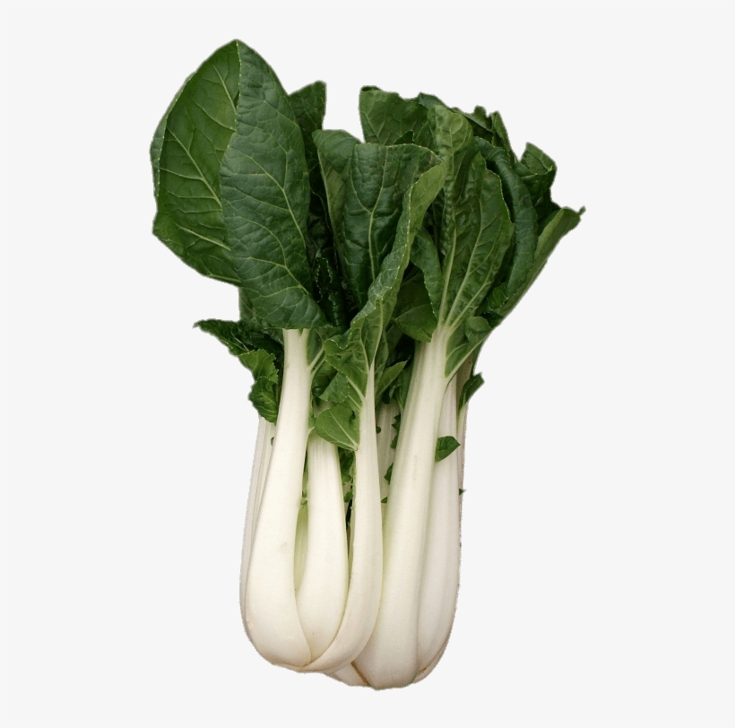 Buk Choy - Brassica Rapa Subsp Chinensis, transparent png download