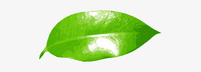 Vector Graphics - Png Leaf Paint, transparent png download