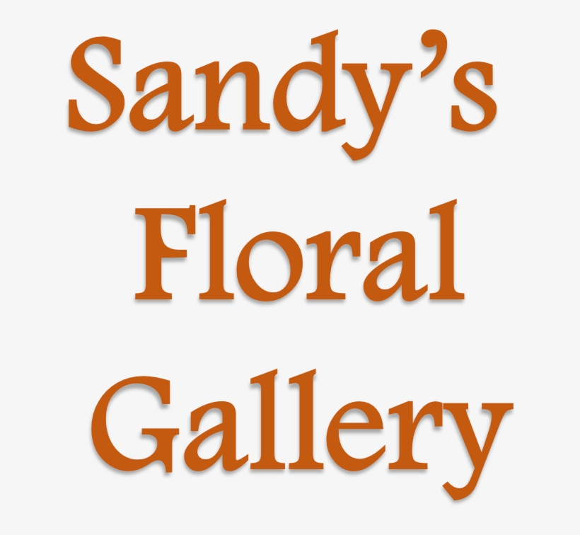 Sandy's Floral Gallery - Said No One Ever: Too Much Bacon Shower Curtain, transparent png download