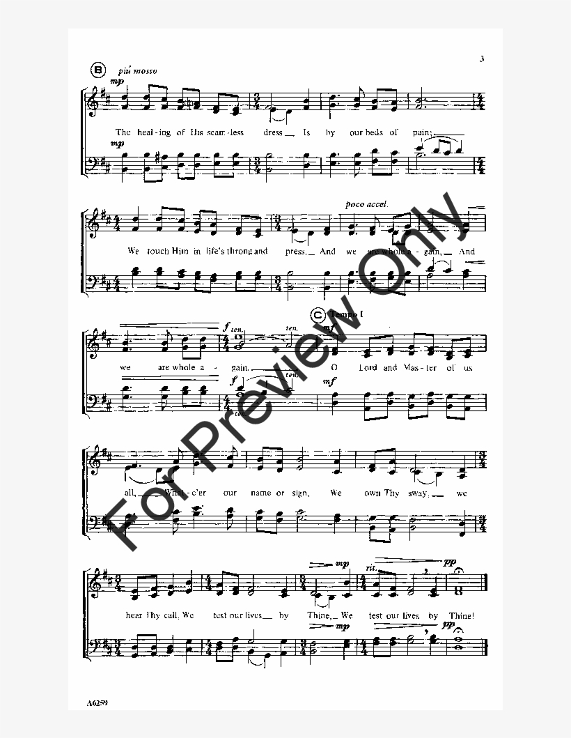 Immortal Love, Forever Full Thumbnail - Violin, transparent png download