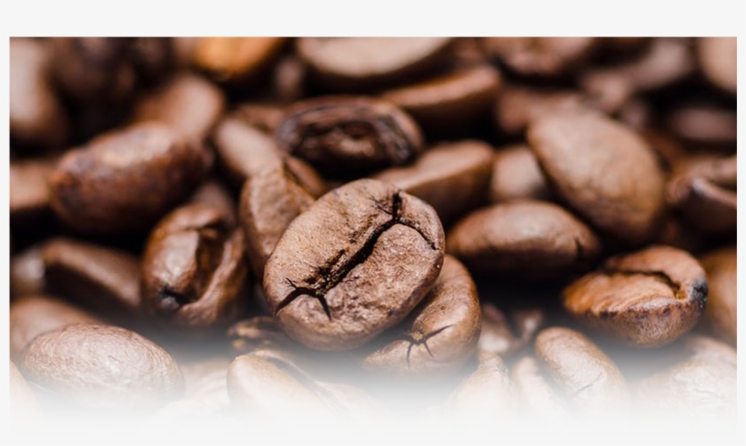 Ready To Order - Premium Coffee, transparent png download