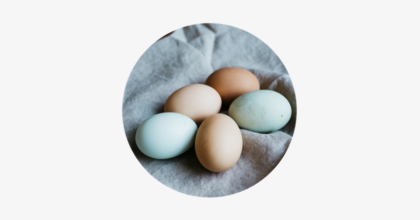 Eggs-product - Egg, transparent png download