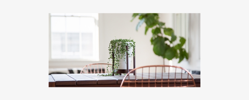 White With Walnut Stand - Scale Model, transparent png download