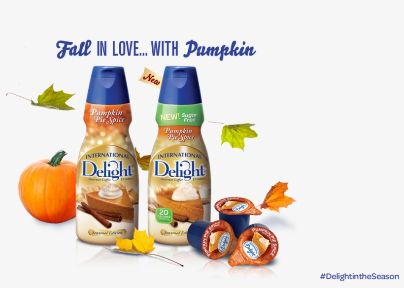 Pumpkin-splash - Whitewave Classic French Vanilla Gourmet Coffee Creamer, transparent png download