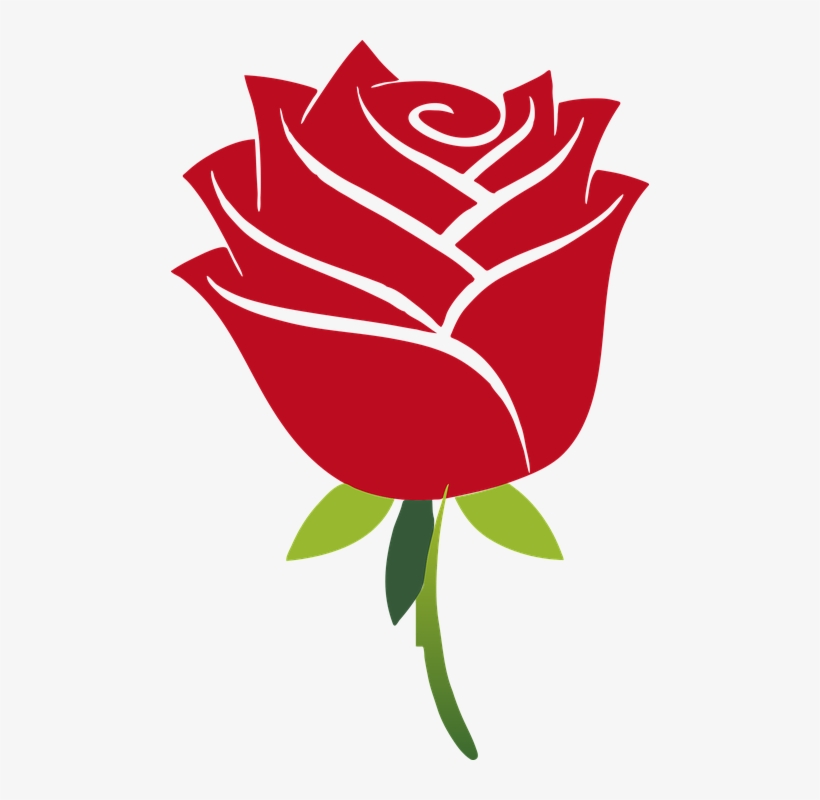 Art Floral Flower Leaf Leaves Plant Red Rose Beauty And The Beast Rose Transparent Png 478x7 Free Download On Nicepng Art Floral Flower Leaf Leaves Plant Red Rose Beauty And The Beast Rose Transparent Png 478x7 Free Download On Nicepng