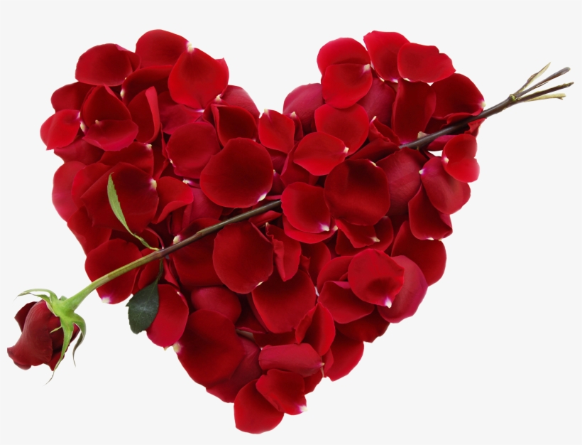 Feature Image Source - Valentine Roses, transparent png download