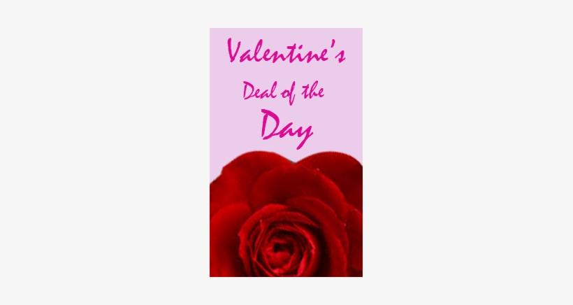More Views - Valentine's Day, transparent png download