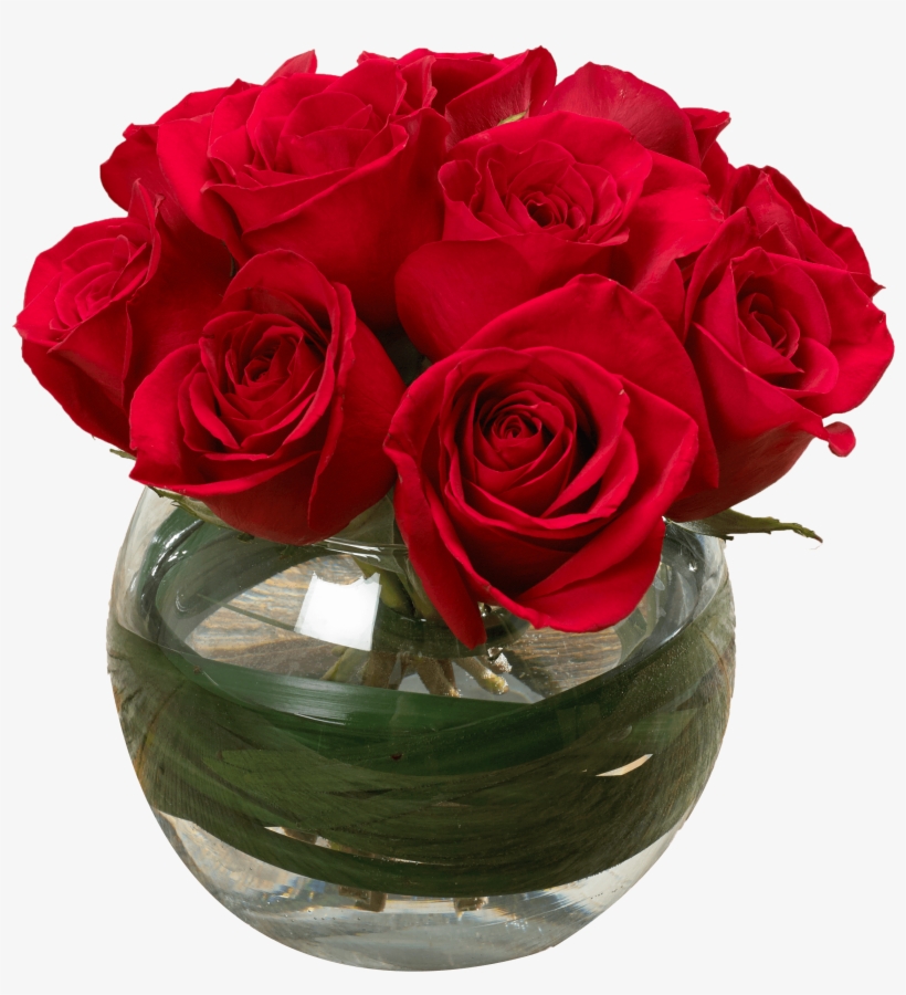 Â Â Â Â - Garden Roses, transparent png download