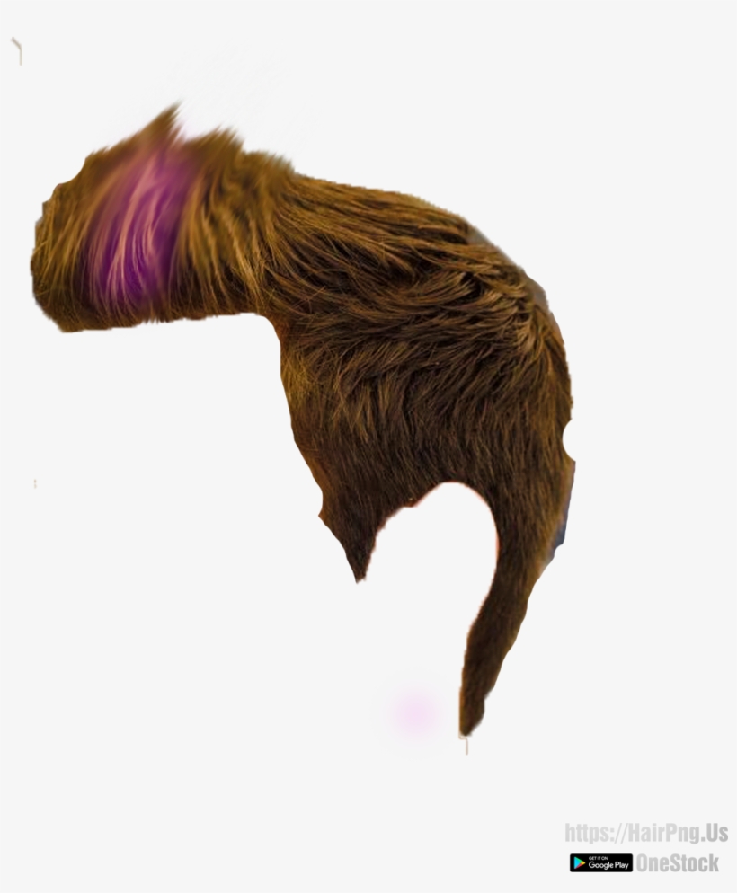 Hair Png - Hair, transparent png download