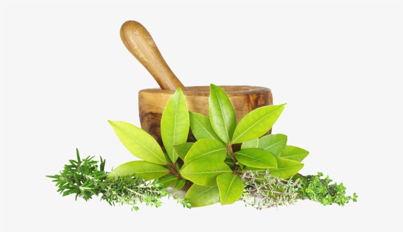 ayurvedic easy guide to ayurveda the natural way transparent png 653x399 free download on nicepng ayurvedic easy guide to ayurveda the