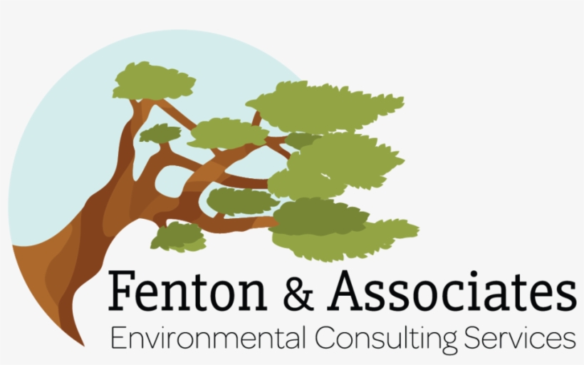 Fenton & Associates - Design, transparent png download