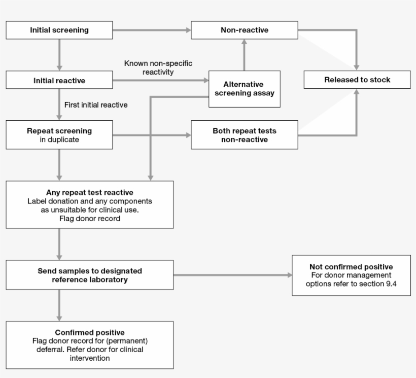 1 Serology Screening - Blood Donation Screening Algorithm, transparent png download