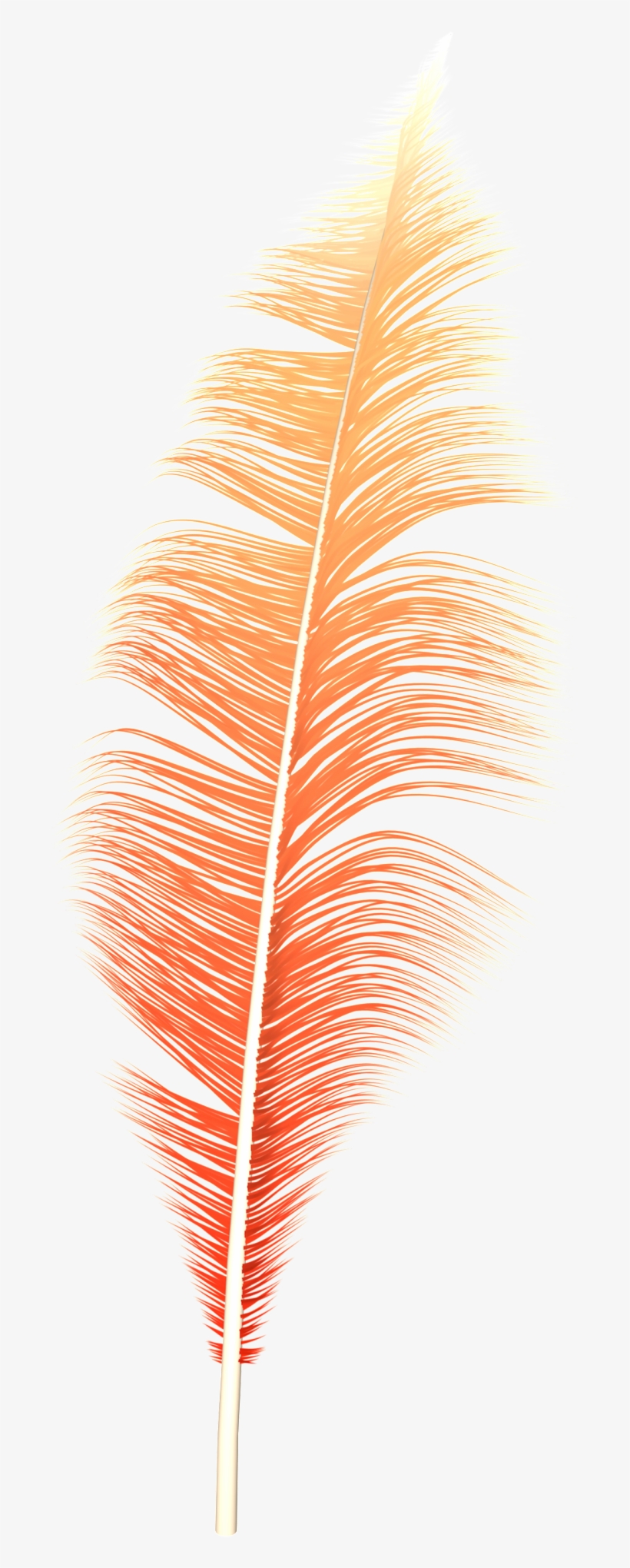 Dream Feather Png - Portable Network Graphics, transparent png download